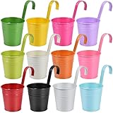 OBTANIM 12 Pack Metal Hanging Flower Pots Railing Planter Outdoor Fence Hanging Bucket Plant Holder with Detachable Hooks Drain Holes for Home Garden Yard Decor (Mixed Color, 4 x 4 Inch)
