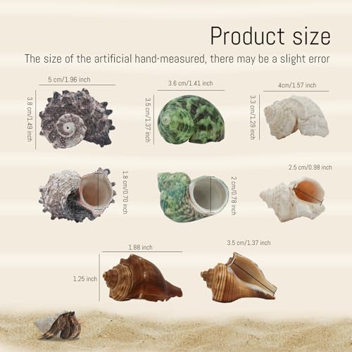 Image of WishLotus 4Pcs Hermit Crab Shells, Natural Hermit Crab Shells Medium to Large, 0.6-1.4inch Opening Hermit Crab Decor for Beach Supplies Conch Habitat (4)
