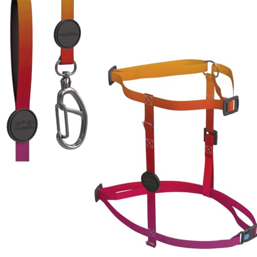 meuAuAu KIT H MEUMIAU CITRUS, MULTICOLORIDO, TAMANHO ÚNICO
