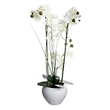 Coloris : Blanc Paris Prix Atmosphera Créateur d\'intérieur - Composition Florale & Vase Orchidée 53cm Blanc