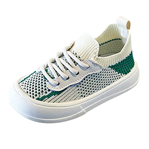 sfdgfhyf Little Kid Solid Color Sneakers Children Shoes Fashion Flat Sneakers Boys and Girls Casual (Green, 10 Toddler)
