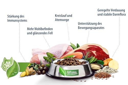 Happy Dog Adventskalender - Getreidefreie Snacks, Ideal zum Verwöhnen, Ohne Zuckerzusatz und Zusatz von Konservierungsstoffen, Vier Verschiedene Sorten köstlicher Hundeleckerlies