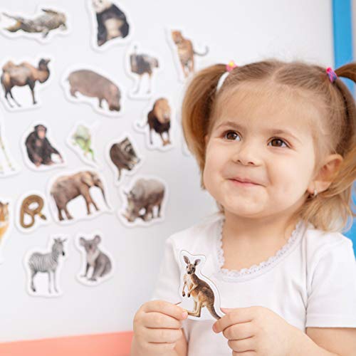 19 Fridge Magnets For Toddlers Magdum - Zoo Photo Kids Magnets For Fridge - Toddler Magnets For Refrigerator - Magnetic Animals - Fridge Magnets For Kids - Animal Magnets - Toddler Fridge Magnets #TOP6