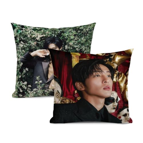 �N�b�V�����J�o�[ �ڍ�-�@ �߂���-��� 2���Z�b�g ���z�c�J�o�[ �\�t�@�w���� ������� �������J�o�[ �k�� �߂� �A�C�h�� �̎� �o�D �i40x40cm�j