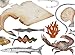 The Book of Vanishing Species: Illustrated Lives