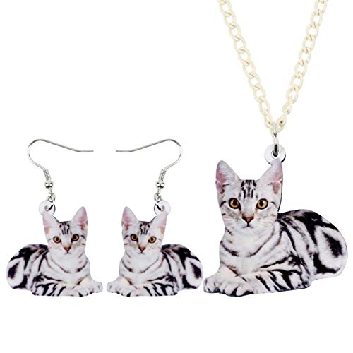 Regalos para mujeres amantes de los animales: conjunto de collar de gato