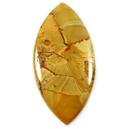 Pierre précieuse jaspe marquise naturelle cabochon de collection unique