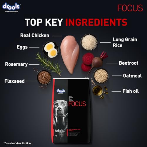Image of Drools Focus Super Premium Adult Dry Dog Food 3kg | Chicken Flavour | Healthy Digestive System | Bone & Joint Health | Healthy Skin & Coat | Dental Health