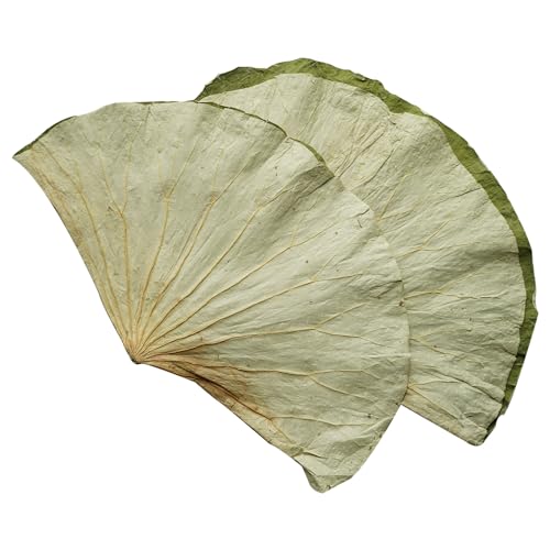 Rainlily Wen Dried Lotus Leaves Sushi Plate Decoration Whole Sheet 30 Pcs Food Wrapping Party Decoration Cooking Radius For 11'' Food Wrapping Party making Lo Mai Gai