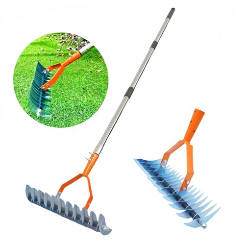 Rastrillos de eliminación de musgo resistentes de 170 cm contra suciedad 8