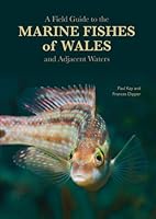 A Field Guide to the Marine Fishes of Wales and Adjacent Waters 0956204805 Book Cover
