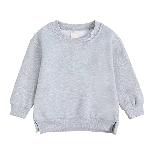 LNICAER Toddler Kids Baby Boys Girls Crewneck Pullover Sweatshirt Fleece Solid Color Coat Warm Fall Winter Clothes Grey 12-24 Months