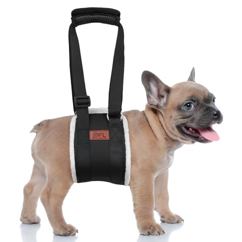 Verstellbarer Hunde Tragehilfe, Tragbarer Tragegurt zur Rehabilitation von kleine Hunden - Gehhilfe mit Griffen als Sicherheitsunterstützung für behinderte, verletzte oder ältere Hunde