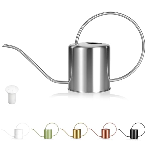 Stainless Steel Bonsai Watering Can Review