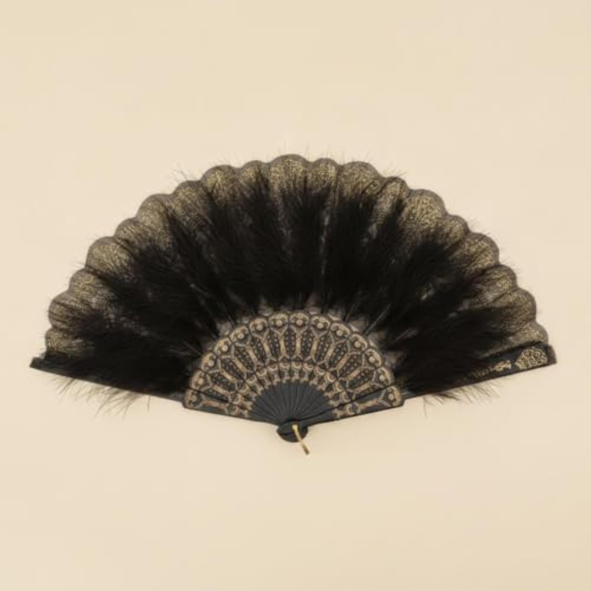 Folding Hand Fan with Feathers, Decorative