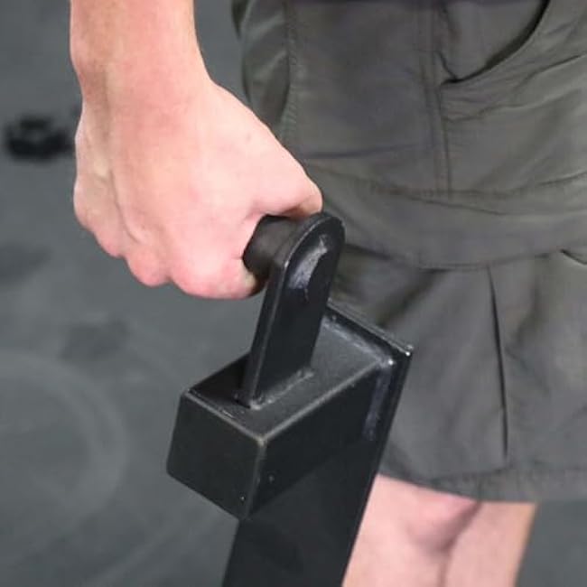 Titan Fitness Mini Farmer's Walk Handles with Standard Weight Posts Pair