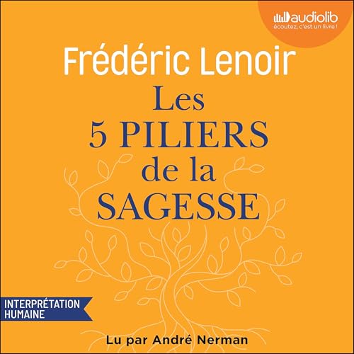 Les 5 Piliers de la sagesse : petit manuel de résistance intérieure Audiolibro Por Frédéric Lenoir arte de portada