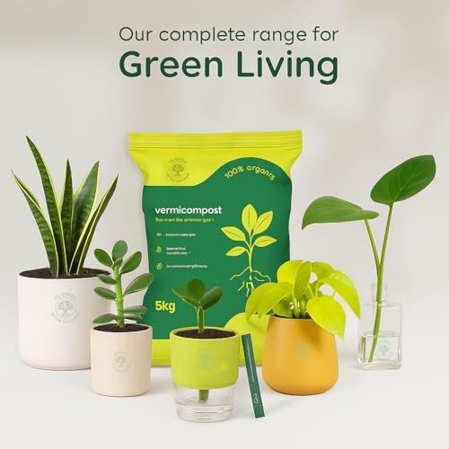 Image of Yo Green Ceramic Plant Pot for Indoor & Outdoor, Modern Planter for Home & Office Decor, Durable, Stylish Finish, Ideal for Tabletop, Shelf, Balcony, Great Gift Idea (Set of 4, 4 Inches)