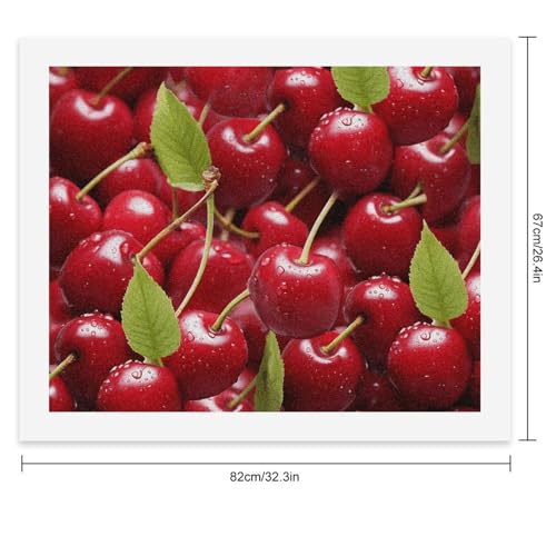 Pintura por número de cereza roja para decorar el salón con oleo digital DIY RTBKLYQ 2