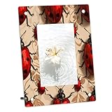 Mintoprints mariquitas acrílico marco de fotos 5 x 7, mariquitas rojas marco de fotos acrílico transparente sin marco marcos de fotos para la decoración de la oficina en casa