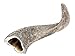 Produktbild NaDeco Schafhorn Natur 10-14cm Schafshorn unbehandelte Schfshörner Horn vom Schaf Widderhorn Ziegenhorn
