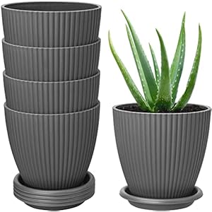INKULTURE Plastic Round Flower Pots with Tray for Home Planters, Terrace, Garden Etc | Pack of 05 | Dark Grey | Size 6.5 Inch | for Home Indoor & Outdoor Gardening Plants