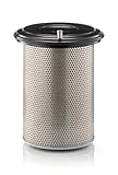 Mann Filter C 30 880/2 Air Filter