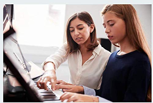 Pedal Extenders #TOP5