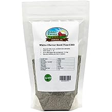 White Dutch Clover Seed - 1 lb.