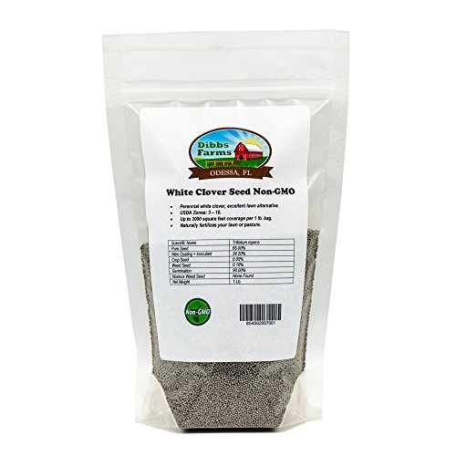 Dibbs Farms White Dutch Clover Seed - 1 lb. Dibbs Farms White Dutch Clover Seed - 1 lb.
