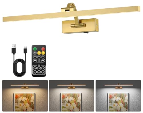 DarHorz Luces inalámbricas para pared, luz de arte de latón de 23.5 pulgadas para pinturas, luces de fotos que funcionan con pilas con control remoto, lámparas de arte recargables regulables para