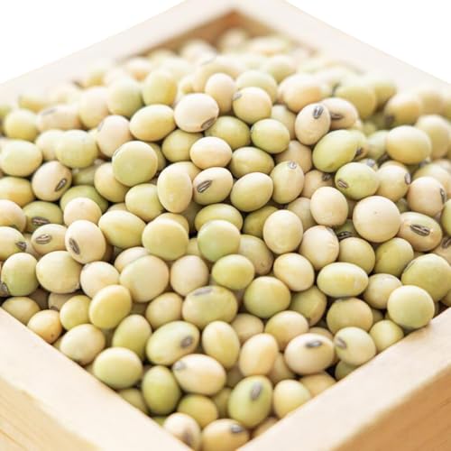 令和6年産 音更大袖振大豆500g「JAおとふけ」[B38]