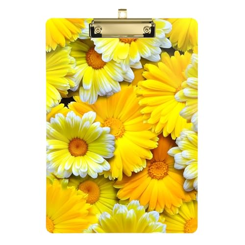 CG[ LZJ̉ AN Nbv{[h ƗpNbv{[h 12C` x 9C` fB[X GNbv{[h ԕ wZ pi S[h