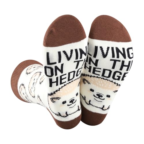 Chaussettes pour propriétaire de hérisson à porter à la maison