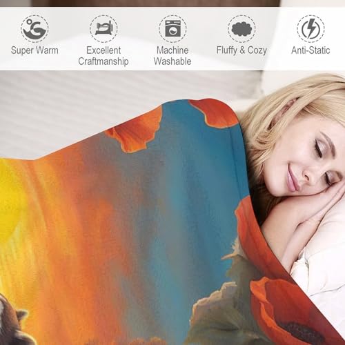 Couverture de canapé Raton Laveur en flannel pour soirée cocooning