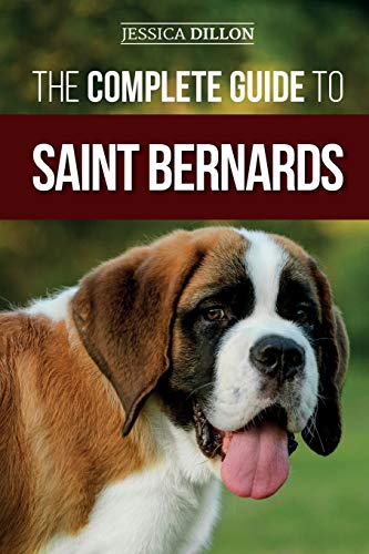 st bernards gift shop