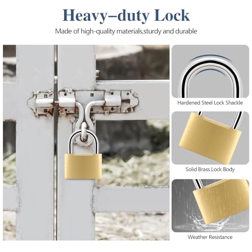 Image of BRAXE 2 Pcs Keyed Padlock with 3 Same Keys Waterproof Small Solid Brass Lock 1-9 /16 inch 40mm for Gym Locker Case Backpack Luggage Hasp Storage Sheds Fence Toolbox
