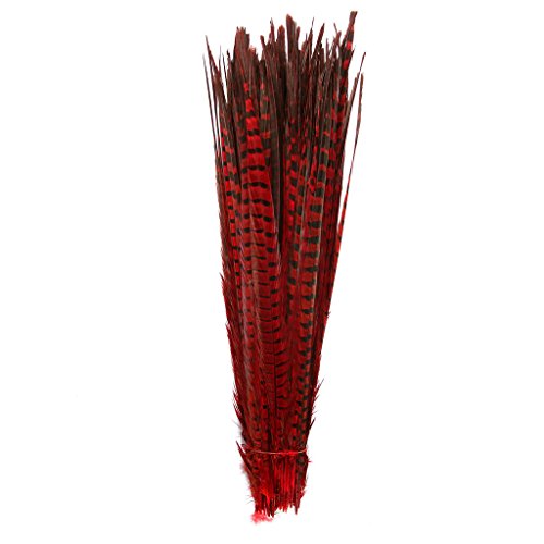 Pheasant Tails Feathers,Hgshow 10Pcs Plume Products Assorted Natural Feathers,About 20-22 inches,50-55cm Long