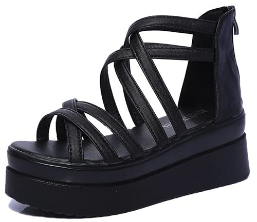 [TRVELBETT] u[cT_ EFbW\[ T}[u[c OfBG[^[ r fB[X y Xgbv ₷ r V[Y  L ʋ t@bV 傫TCY obNWbp[ (ubN,23.0 cm)