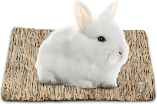 SunGrow Rabbit Grass Mat, Bunny Cage Accessories, Rabbit Stuff and Supplies, Handmade, Edible Accessory Chew, Keep in Cage or on Floor, 1 pc