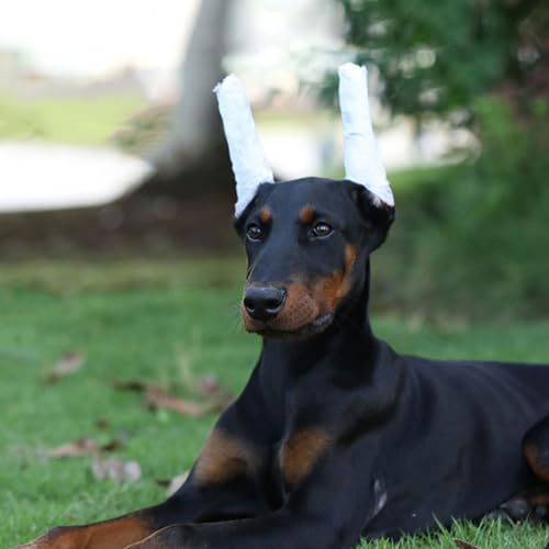 Image of FRCOLOR 10Pcs Dog Ear Stand Fixed Support Tools Tape Ear Support Tool Ear Stand up Support Dog Ear Standing Tool Dog Accessory Pet Dog Supply Dog Ear Correct Fixed Rod Foam Dedicated White