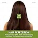 Inoar Cicatrifios Shampoo & Conditioner Renewal Haircare Duo with RejuComplex3 & Argan Oil, 2 x 16.9 Fl Oz Each