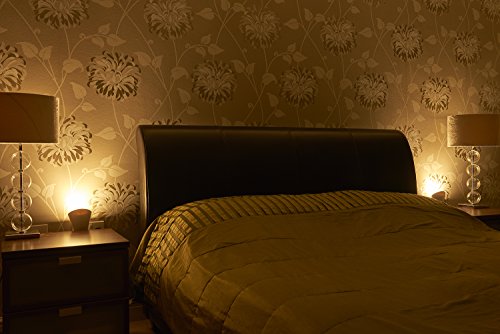 Soporte GU10 Auraglow plugin con diseño compacto para efecto de lavado de pared 3