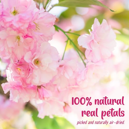 40 Pcs 2 Kinds Natural Pressed Dried Edible Flowers for Cake Topper Decoration - Pink Mix Sakura, Cherry Blossoms for Cupcake Toppers, Cocktails, Resin Jewelry, DIY Crafts
