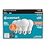 EcoSmart 60W Equivalent Soft White A19 Energy Star and Dimmable LED Light Bulb (4-Pack)