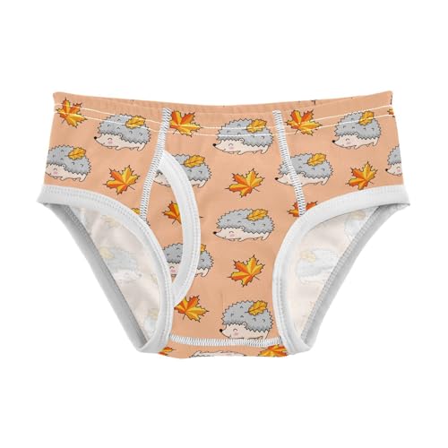 Cotton Little Boys Briefs Hedgehogs Maple Leaves Soft Toddler Underwear