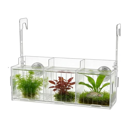 Aquarium Plant Holder For Fish - Aquarium Plants Holders | Double-Hook Hydroponic Planter | Transparent Acrylic Adjustable Heigh