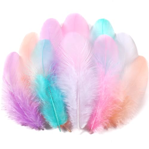 Soarer 300pcs Macaron Rooster Feathers Bulk - 3-5inch Craft Feathers for Wedding Home Party, Dream Catcher Supplies and DIY Crafts(Macaron)