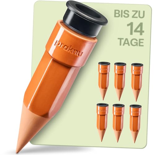 Praknu 6x Tonkegel Bewässerung Groß – Bis zu 14 Tage – Auslaufsicherem mit Adapter – Bewässerung für Zimmerpflanzen im Urlaub – Wasserspender Pflanzen – Bewässerungssystem