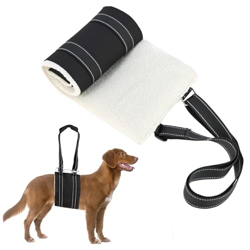 QWORK® Weiche Hunde Tragehilfe (M) - Verstellbare Gehhilfe und Hinten Unterstützungsgeschirr für Behinderte, Verletzte, Ältere Hunde